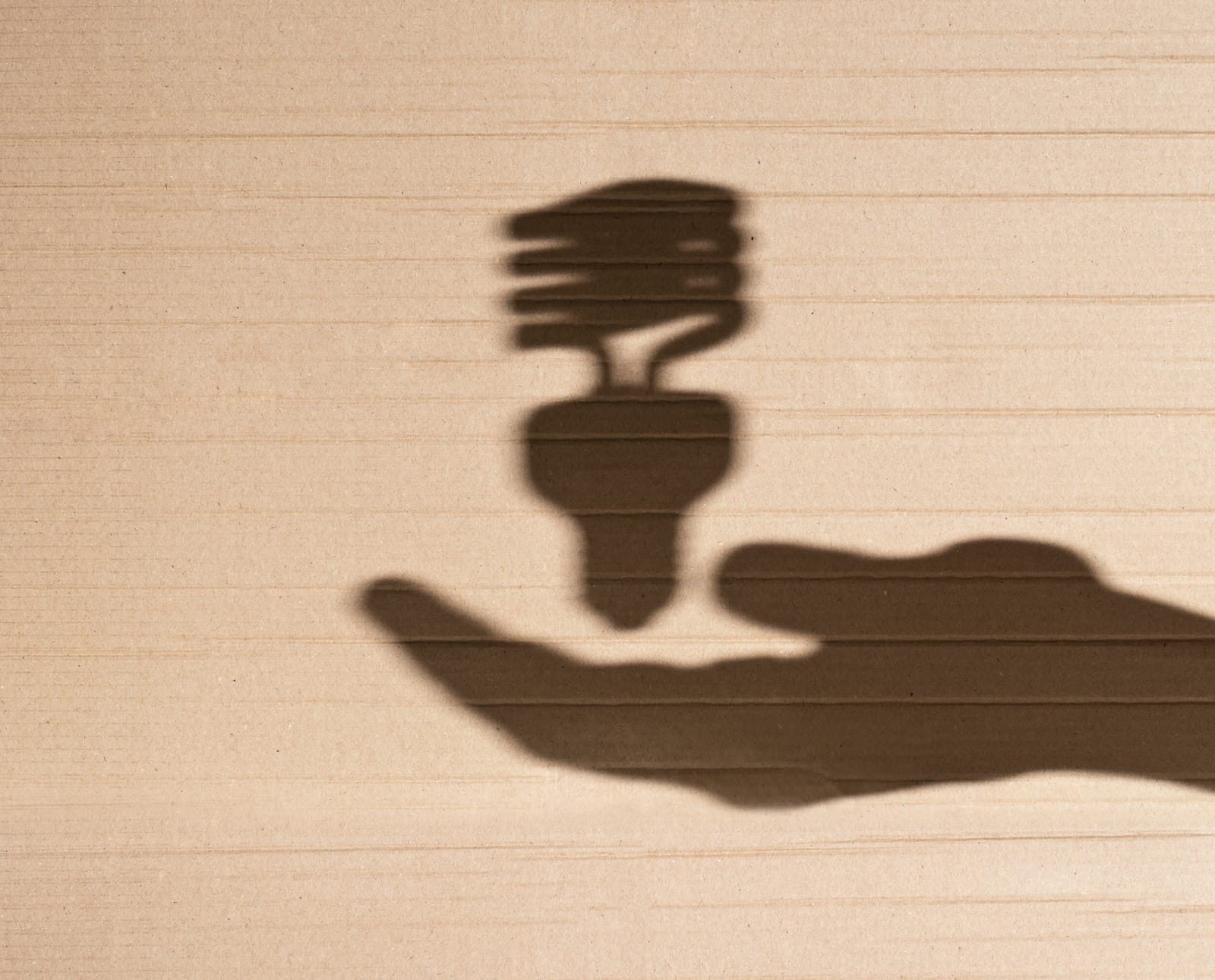 Fluorescent Light Bulb And Human Hand